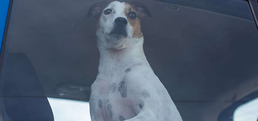 Car Lockout Solutions in Monterey, California