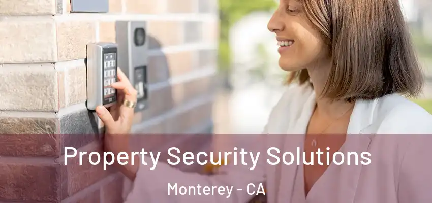  Property Security Solutions Monterey - CA